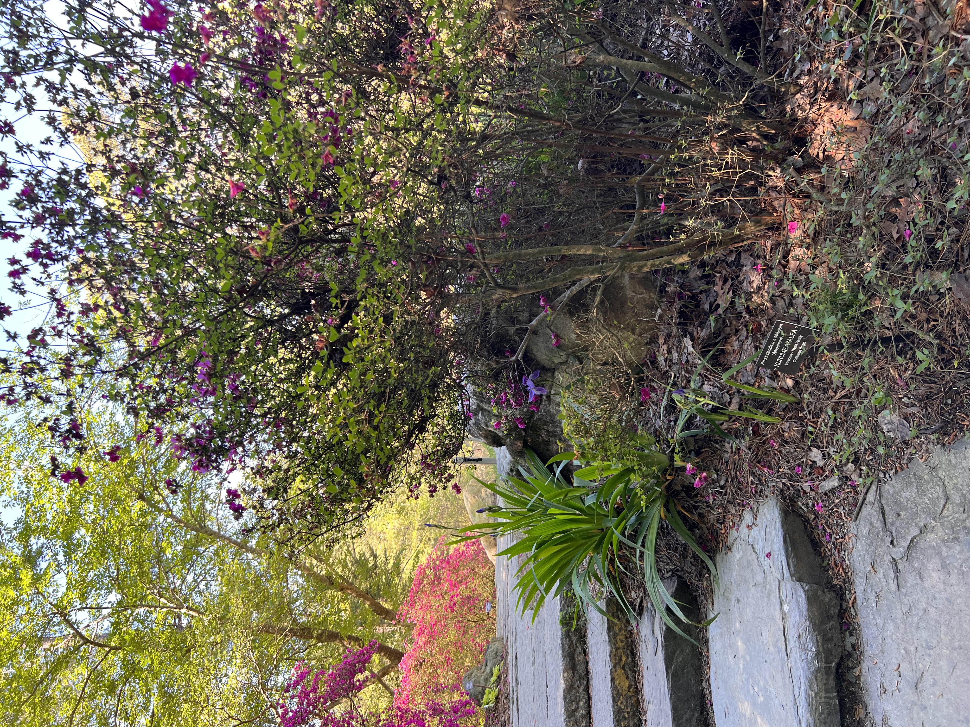 ./2023/05 - Toni Adventures/IMG_3112.JPG